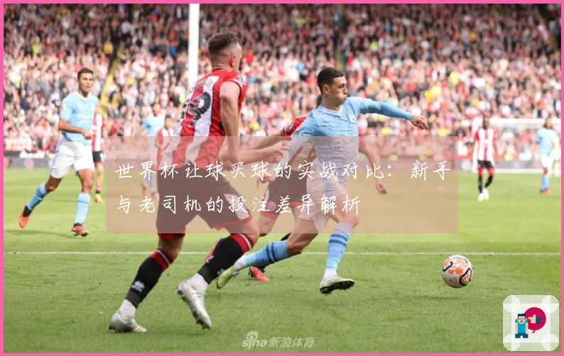 世界杯让球买球的实战对比：新手与老司机的投注差异解析