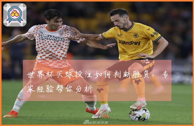 世界杯买球投注如何判断胜负，专家经验帮你分析