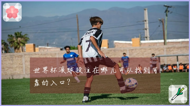 世界杯滚球投注在哪儿可以找到可靠的入口？