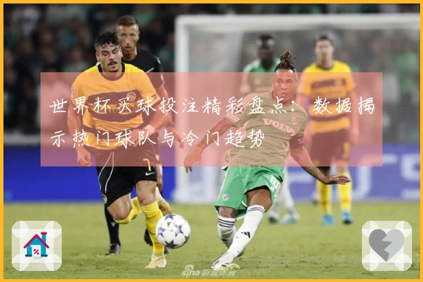 世界杯买球投注精彩盘点：数据揭示热门球队与冷门趋势