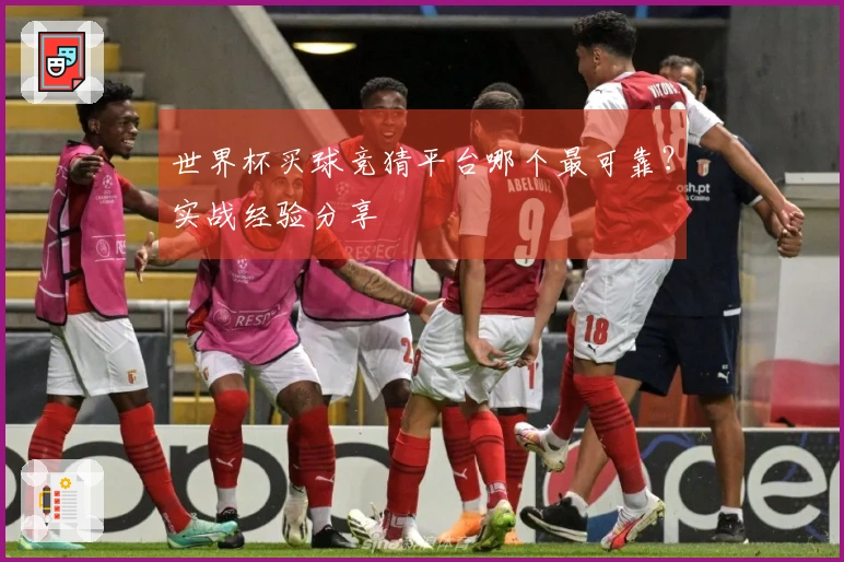 世界杯买球竞猜平台哪个最可靠？实战经验分享