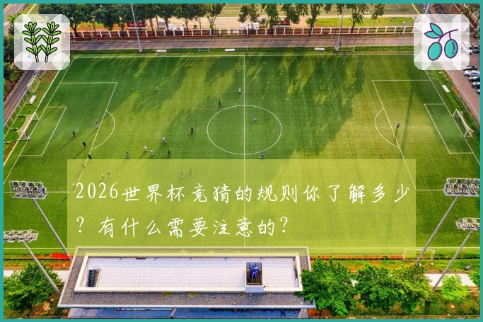 2026世界杯竞猜的规则你了解多少？有什么需要注意的？