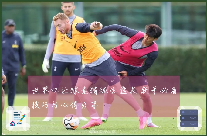 世界杯让球竞猜玩法盘点 新手必看技巧与心得分享